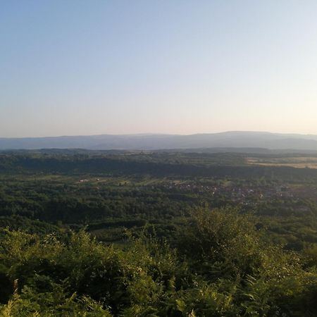 Borlova /Muntele Mic Hotel Bagian luar foto