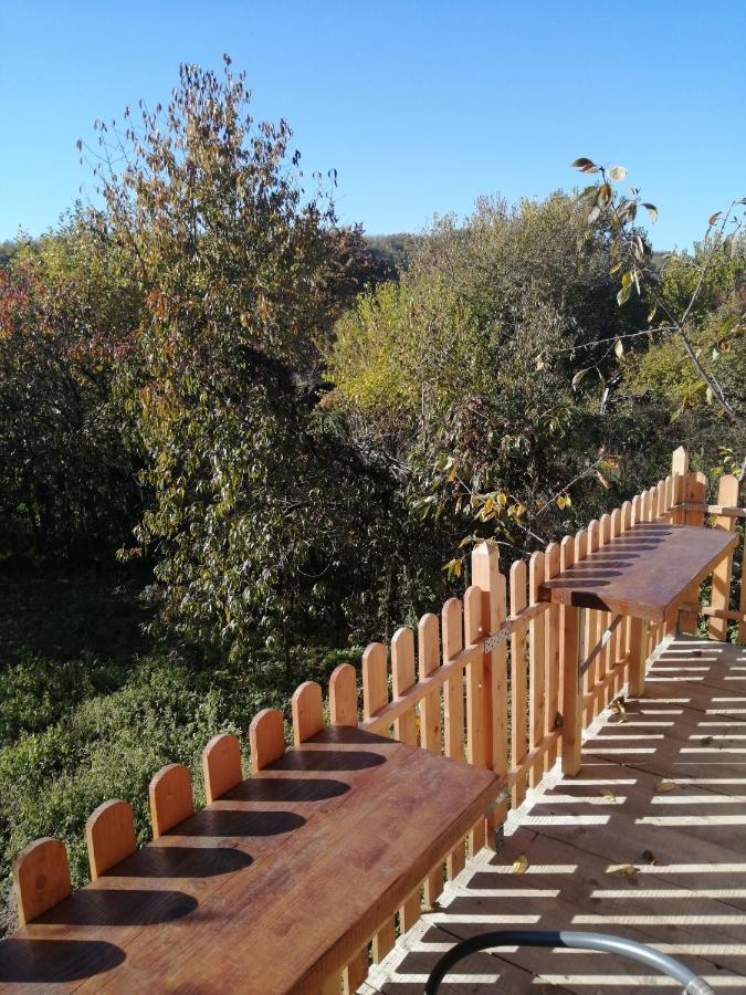 Borlova /Muntele Mic Hotel Bagian luar foto
