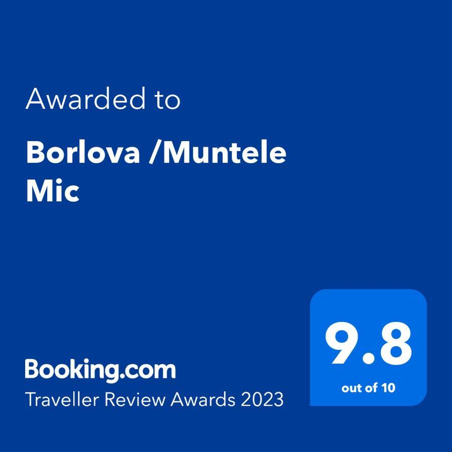 Borlova /Muntele Mic Hotel Bagian luar foto