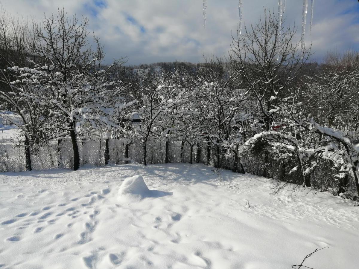 Borlova /Muntele Mic Hotel Bagian luar foto