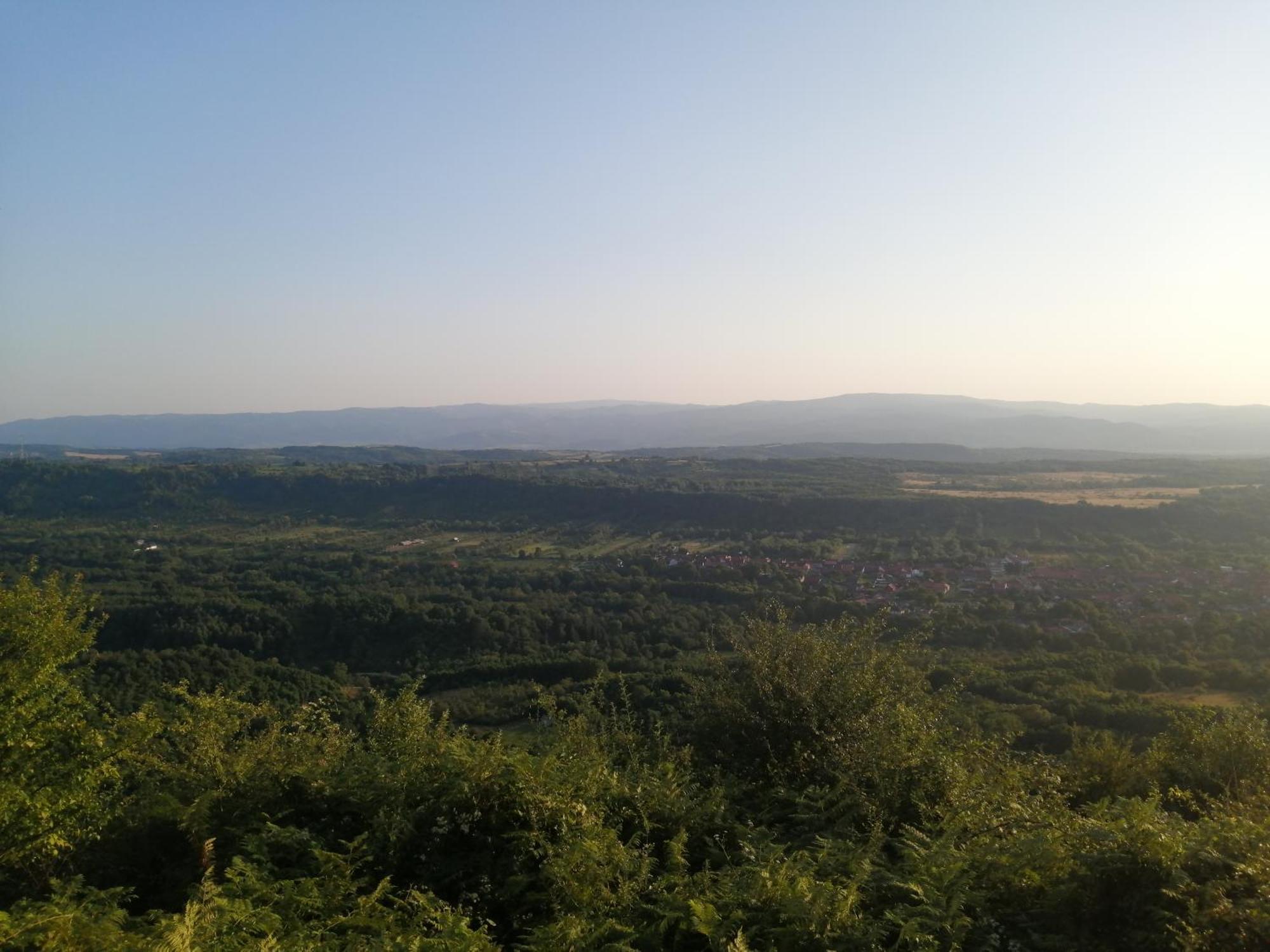 Borlova /Muntele Mic Hotel Bagian luar foto